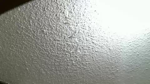 FIERYWOMAN online show from October 7, 4:25 pm