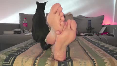 Ashley online show from March 10, 8:12 pm