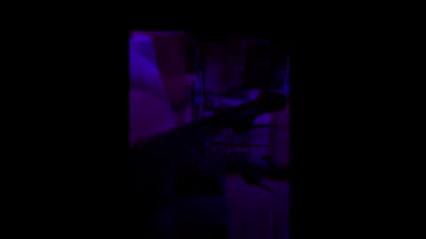 flakoyflaki online show from October 1, 1:21 pm