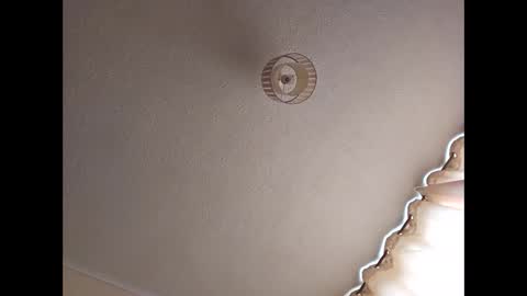 flamazine95 online show from March 3, 12:50 pm