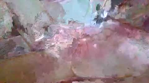 flyguy2121 online show from February 22, 10:12 pm