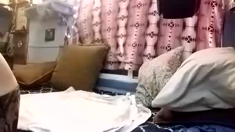 foxbodydave online show from January 15, 9:07 am