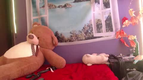 Snapshot of foxy_pet2 chatting on February 21, 11:43 pm my name is Sofhia but you can call me any name you like Sir online show from February 21, 11:43 pm