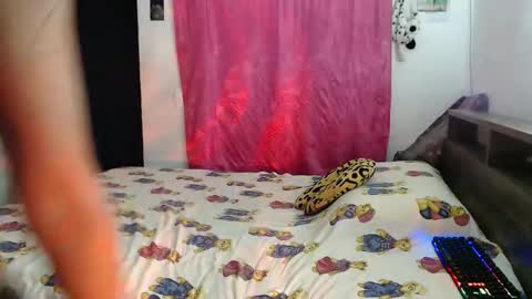 franfinee online show from November 7, 1:52 am