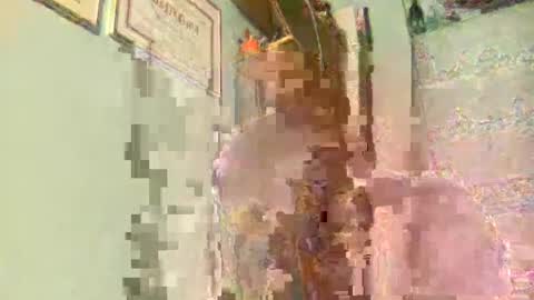 freddy3399 online show from December 17, 2:44 am