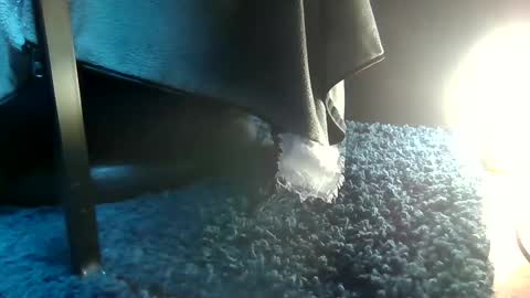 Greedy Fred online show from February 15, 4:45 pm