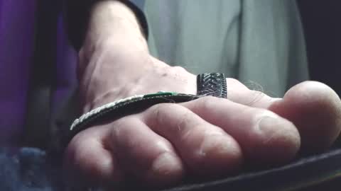 Greedy Fred online show from March 5, 2:20 am