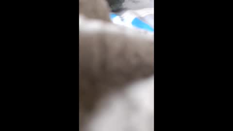 frodo7828 online show from November 30, 3:52 pm