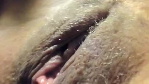 FrumCake online show from December 30, 12:32 am