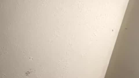 Flyin solo  online show from January 17, 7:01 pm