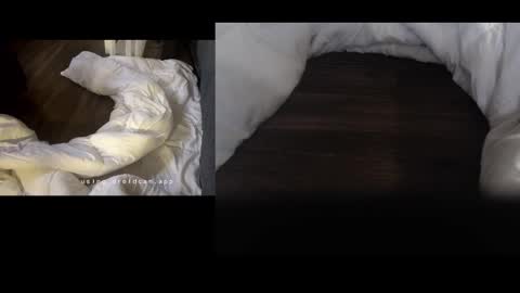 fuckinluisandtit online show from March 28, 9:00 am