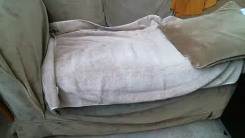 funlovinchub online show from February 8, 6:33 pm