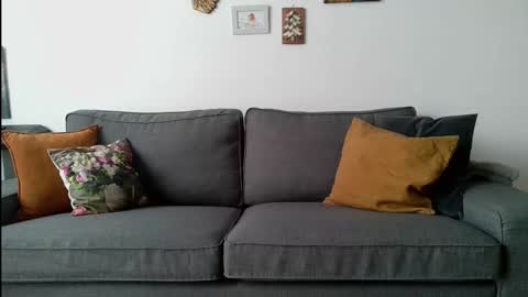 funservice online show from December 4, 8:06 am