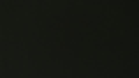 Snapshot of g10303 chatting on September 29, 4:00 am g103031910303 online show from September 29, 4:00 am