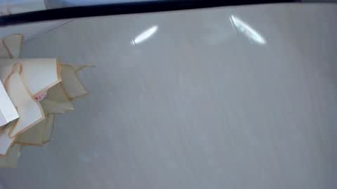 Gabriela online show from November 30, 4:08 am