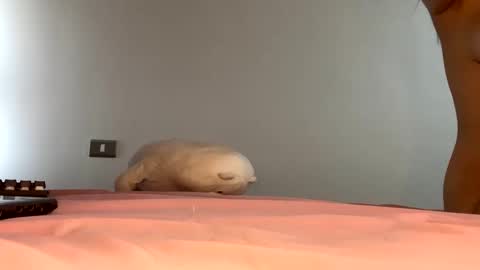 Snapshot of gabrielaycc chatting on February 6, 11:53 am Dani online show from February 6, 11:53 am