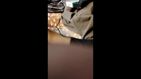 gcluism32 online show from March 3, 6:20 am