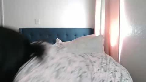 Snapshot of geishapaige chatting on March 2, 6:19 pm The Empress online show from March 2, 6:19 pm