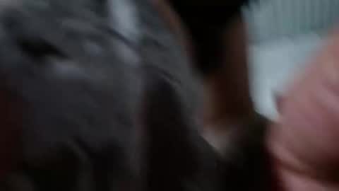 Geovanna Franco  online show from March 28, 10:22 pm