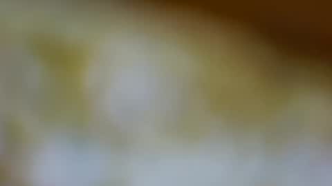 germanandy71 online show from November 3, 1:34 pm