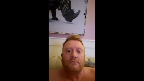 gingergdog online show from February 12, 10:13 pm