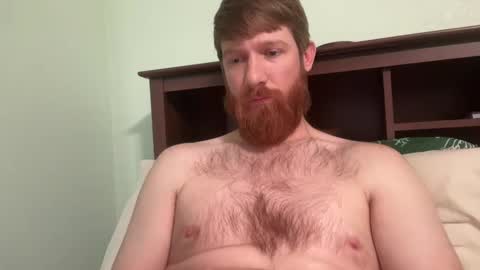 gingermania10 online show from December 19, 7:40 pm