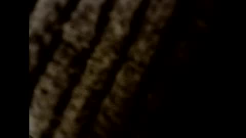 gino1235789 online show from December 4, 8:39 am