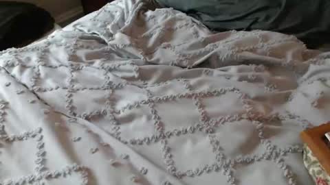 Snapshot of gizmo706 chatting on September 17, 11:57 am gizmo706 online show from September 17, 11:57 am