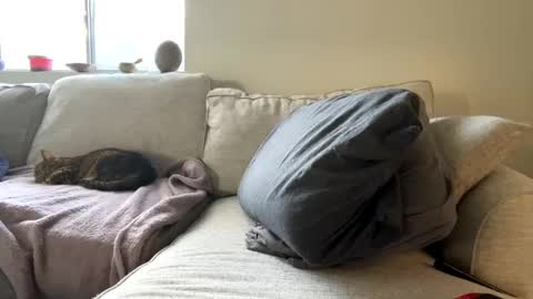 GoddessMayvn online show from February 11, 4:46 pm