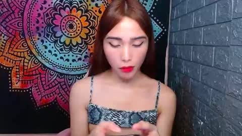 Caulix online show from January 26, 4:30 pm