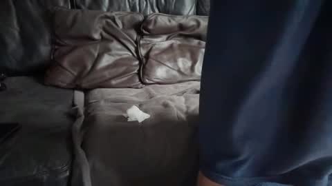 grandmufftwerking online show from October 26, 3:44 pm