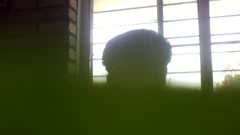 Grey Stud online show from February 14, 6:56 am