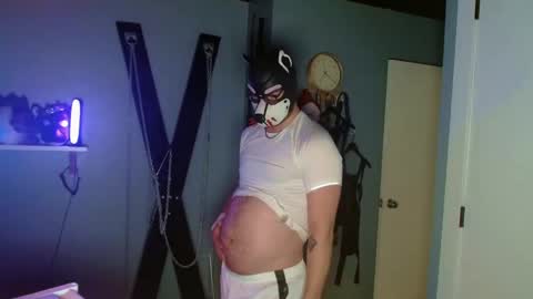 Alpha pup online show from October 8, 9:26 am