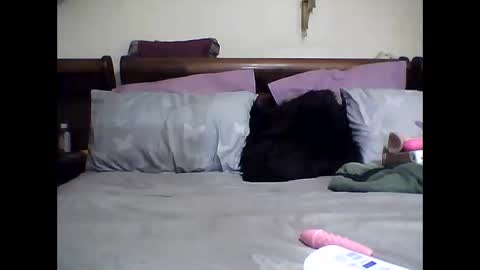 gucci-bx online show from March 8, 2:23 am