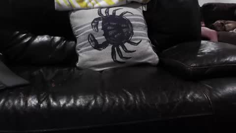 GypsyBella online show from December 3, 4:42 am