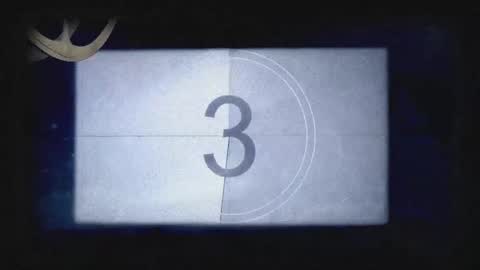 Haely online show from November 26, 11:07 am