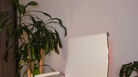 Hailey online show from November 1, 2:56 am