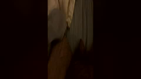 Bruce online show from June 11, 2:44 am