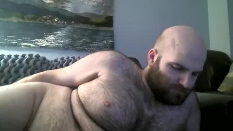 Snapshot of hairiestbear chatting on January 12, 8:36 am Hairiest Bear online show from January 12, 8:36 am
