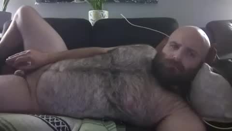 Hairiest Bear online show from August 3, 2:46 am