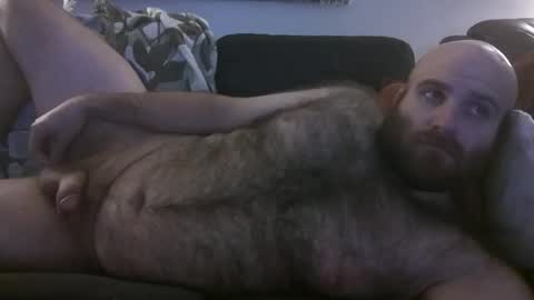 Hairiest Bear online show from November 22, 5:50 am