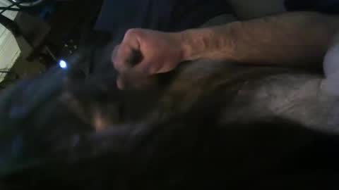 HairyArtNerd online show from February 10, 9:12 am