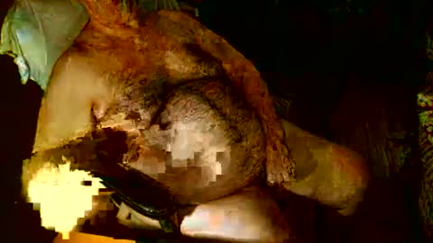 Snapshot of hairybear813 chatting on January 3, 12:11 am hairybear813 online show from January 3, 12:11 am