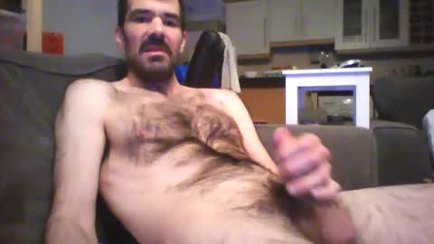 hairydude2015 online show from November 30, 11:01 pm