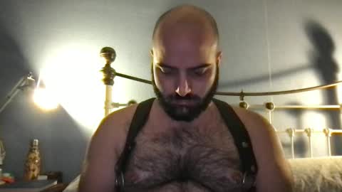 Hairy Guy online show from December 8, 7:22 pm