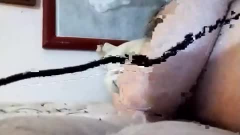 Marty online show from January 11, 9:54 pm