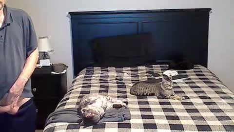 hammerthatthang73 online show from May 14, 9:40 am