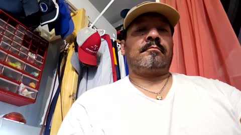 Hammy online show from January 8, 11:54 am