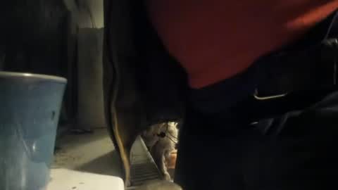 handncocknocum online show from December 8, 5:22 pm