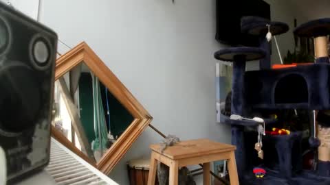 handncocknocum online show from February 25, 10:48 am